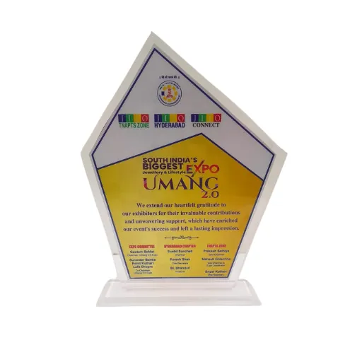 Umang 2.0 expo appreciation award
